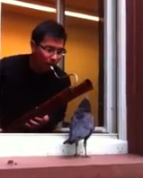 Early Bird Dulcian Discovering Obscure Instruments