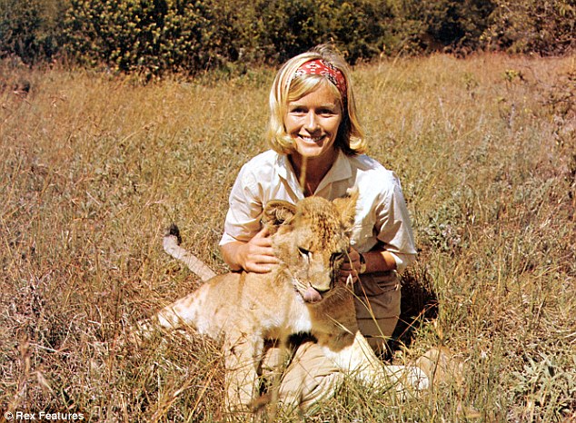 Wild Movie Music Picture Perfect on WWFM