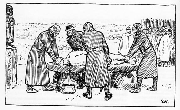 Facebook Images are Back Ross Amico