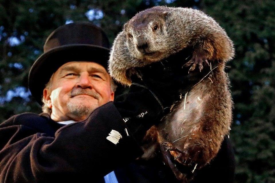 Punxsutawney Phil Sees Early Spring