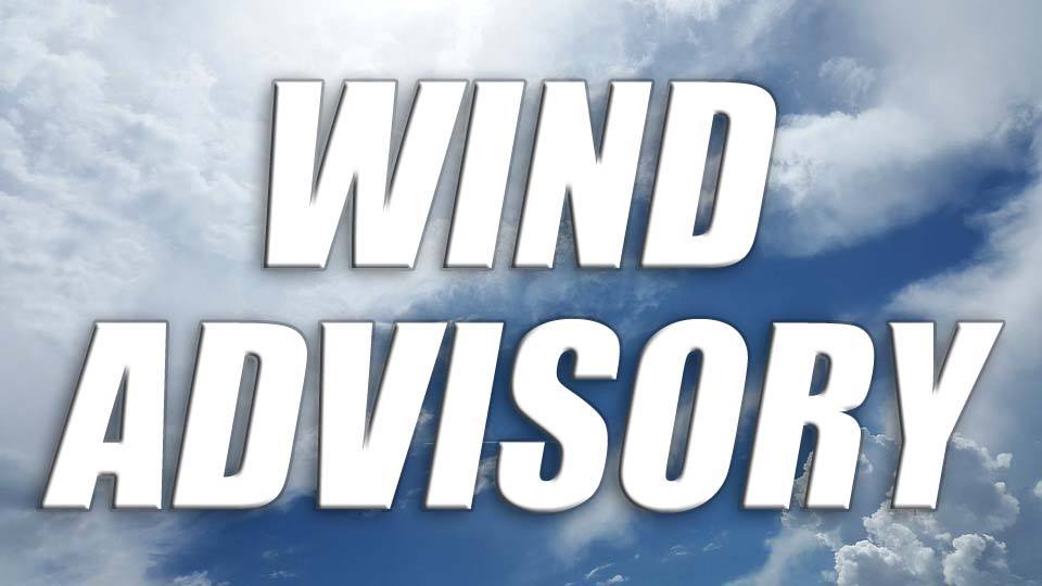 Winds of Marlboro Music Danzi & Beethoven