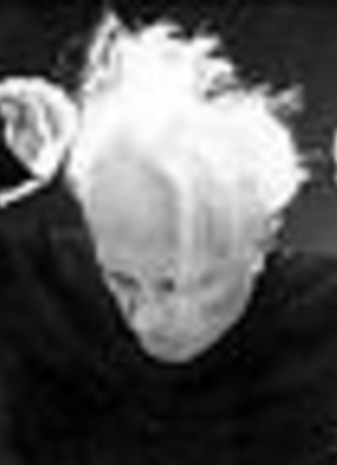 Pfitzner, Horenstein: A Musical Birthday Celebration