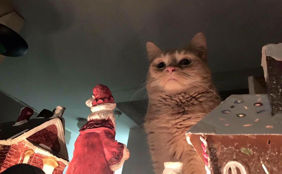 Iceland’s Yule Lads The Christmas Trolls