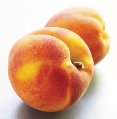 Oldest Melody Found Armenian Roots