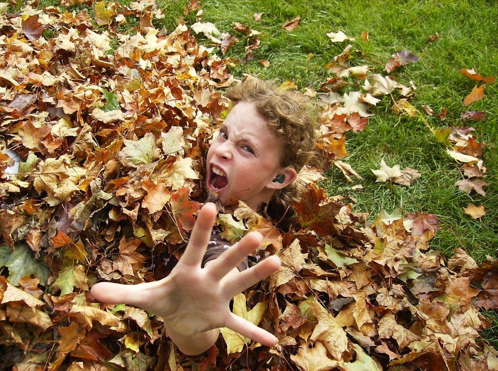 Classical Birthdays & Women Composers