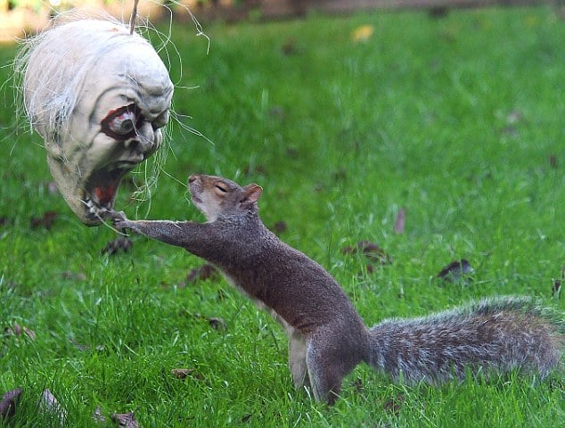 Headless Horseman Halloween Music