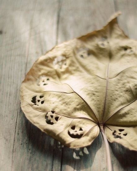 Poe’s Ulalume Halloween Song