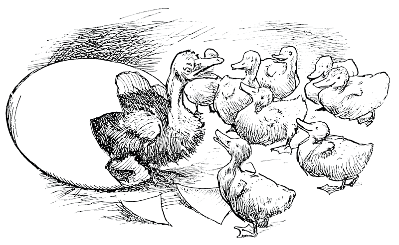 Nielsen & Sibelius at Marlboro School of Music and Festival