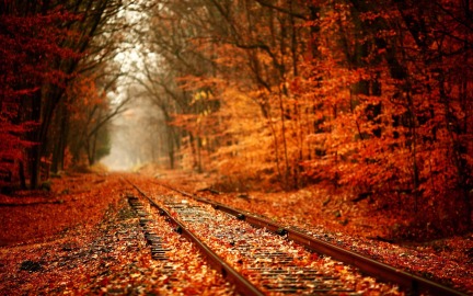 November Music and Fall Back Clock Change
