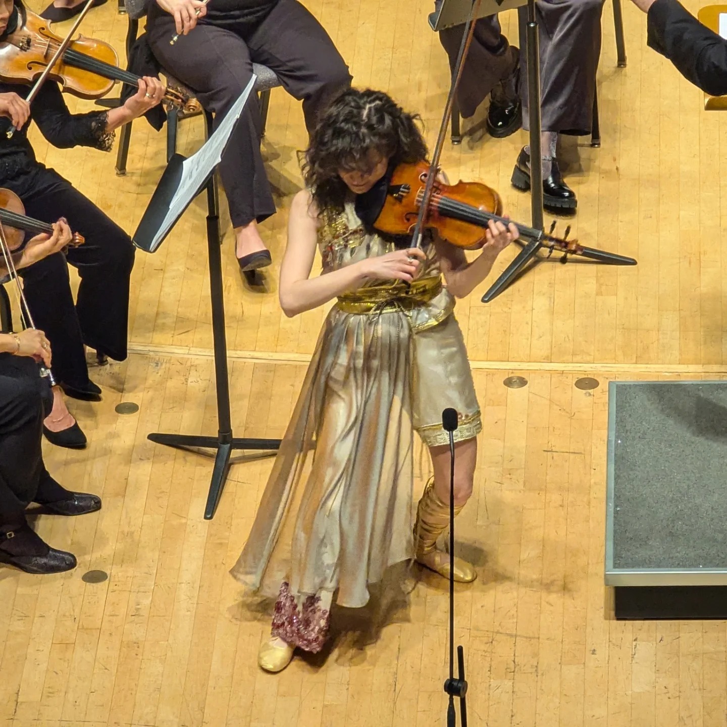 Chamber Orchestra Blooms Under Hayes’ Baton