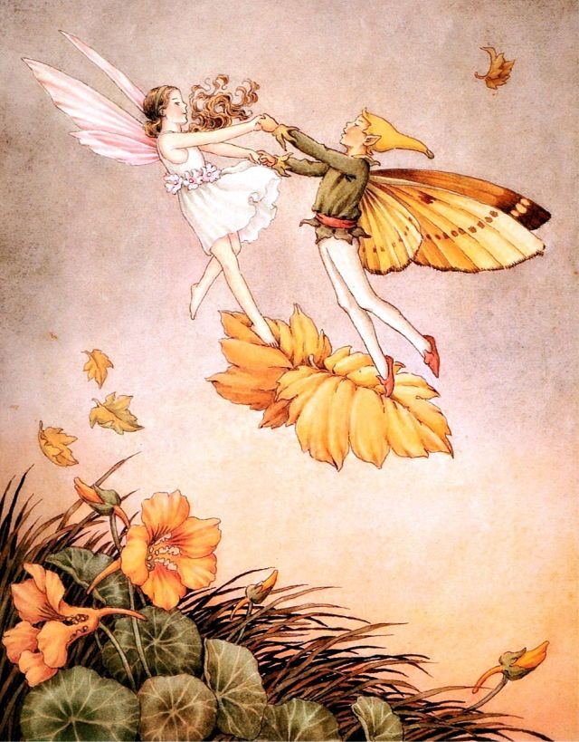 Classical Music Birthdays & Butterflies Today