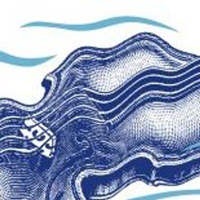 Argus Quartet at Raritan River Music Festival