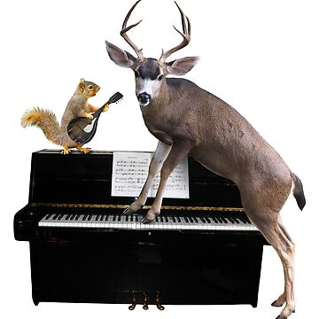 Beethoven & Beyond Sonatina Delights on KWAX