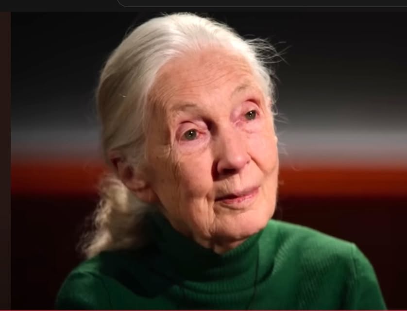 Jane Goodall Good for All