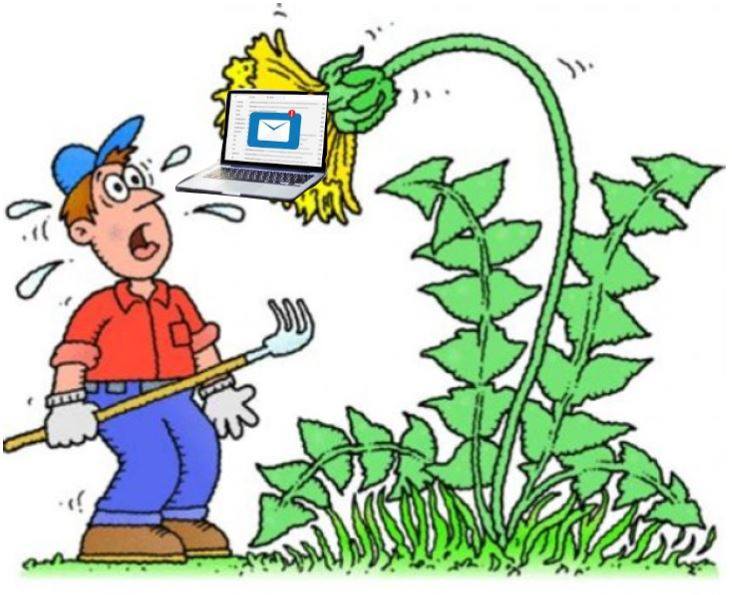 Email Overload Confessions of a Digital Hoarder