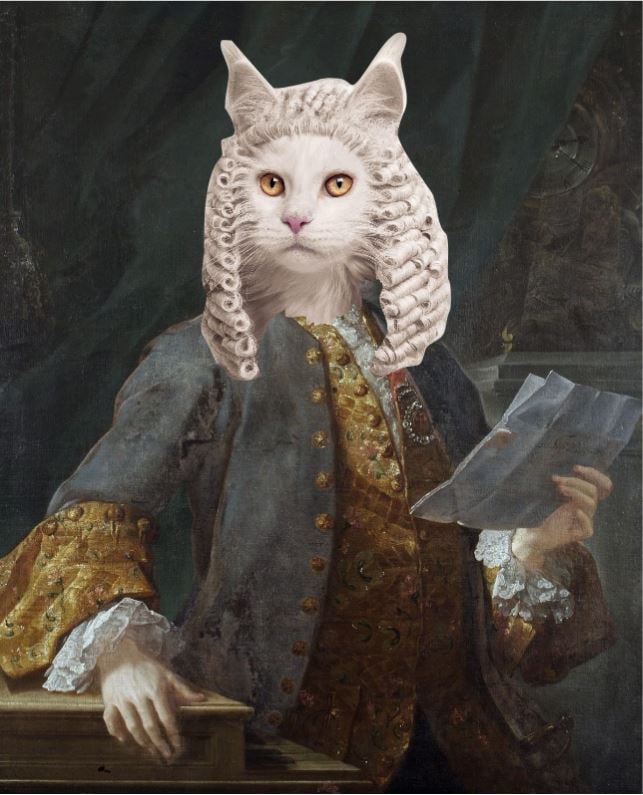 Scarlatti’s Cat Fugue The Purrfect Sonata