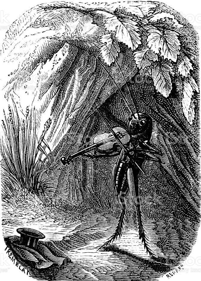 Support Classical Music Keep WWFM on the Air