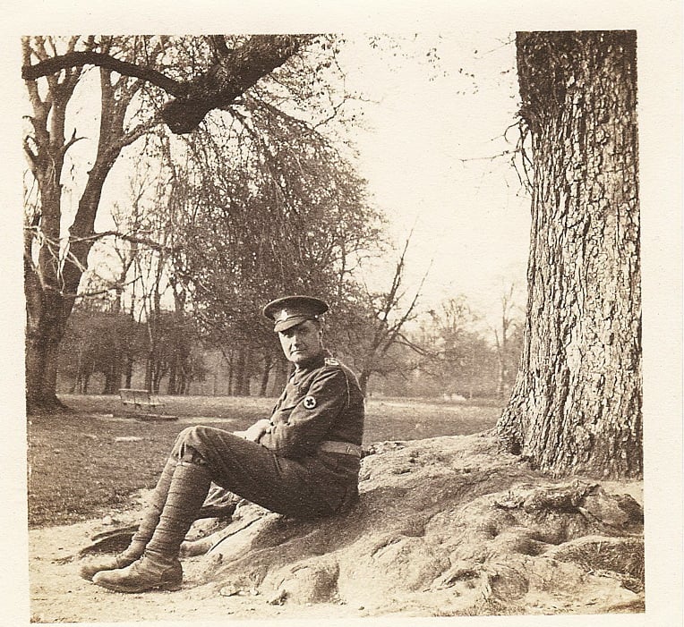 Vaughan Williams’ Pastoral Symphony War Elegy