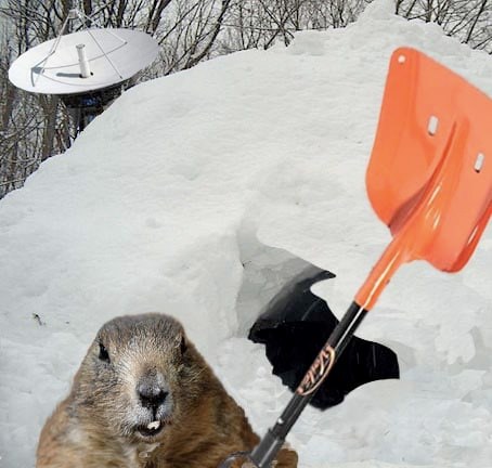 Thank You Groundhog Six More Weeks Winter