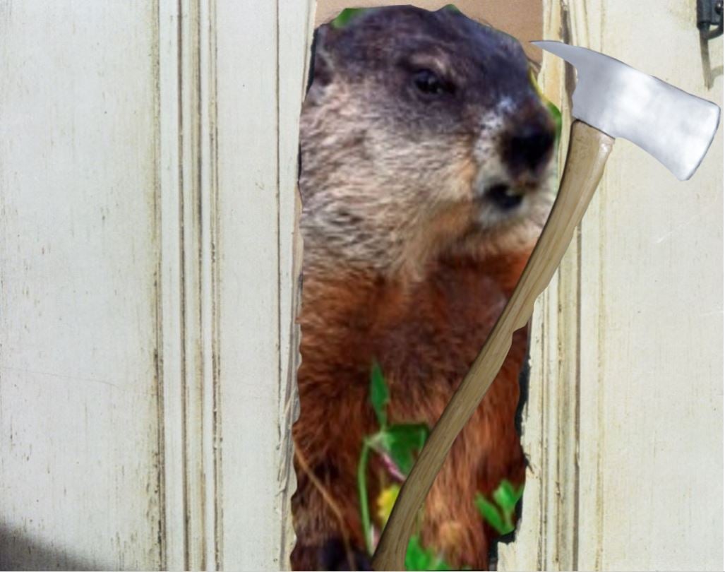 The Shining Telepathic Deep Dive