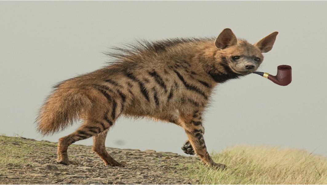 Father’s Day Loss & Remembrance in Music