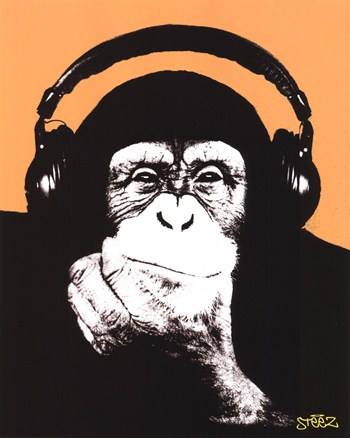 Chimps Prefer African Music Silence Best