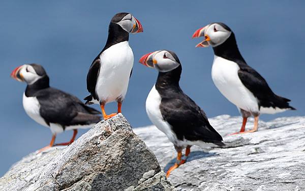 Howard Hanson Bold Island Inspiration