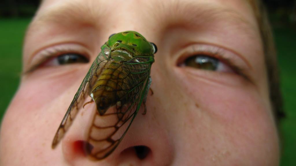 NJ Choirs Sing in Princeton & Jersey Shore