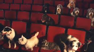 Miller Theatre’s Season for the Dogs