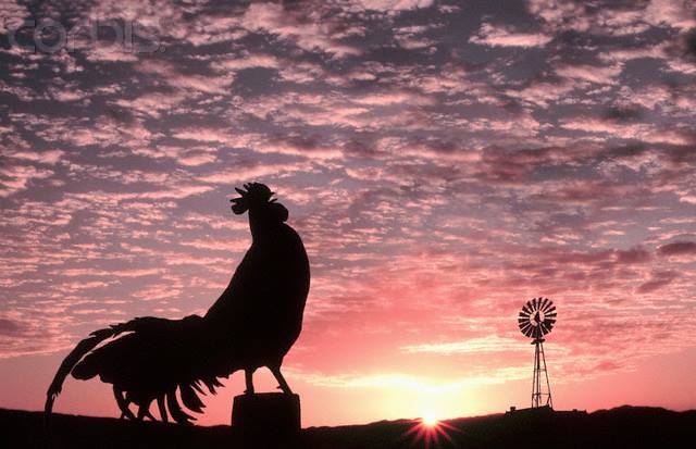 Unusual Composers on WPRB This Week