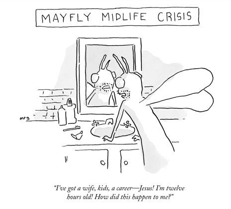 Midday Classics Red Convertible a Midlife?