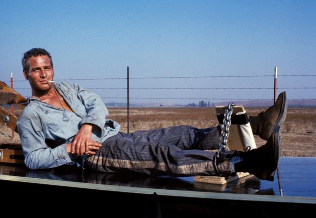 Prison Break Movies Picture Perfect