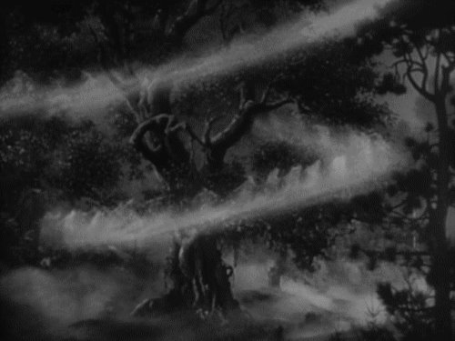 Shakespeare’s Birthday A Midsummer Night’s Dream