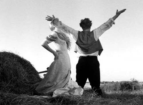 Swedish Midsummer Traditions Food Drink & Fun