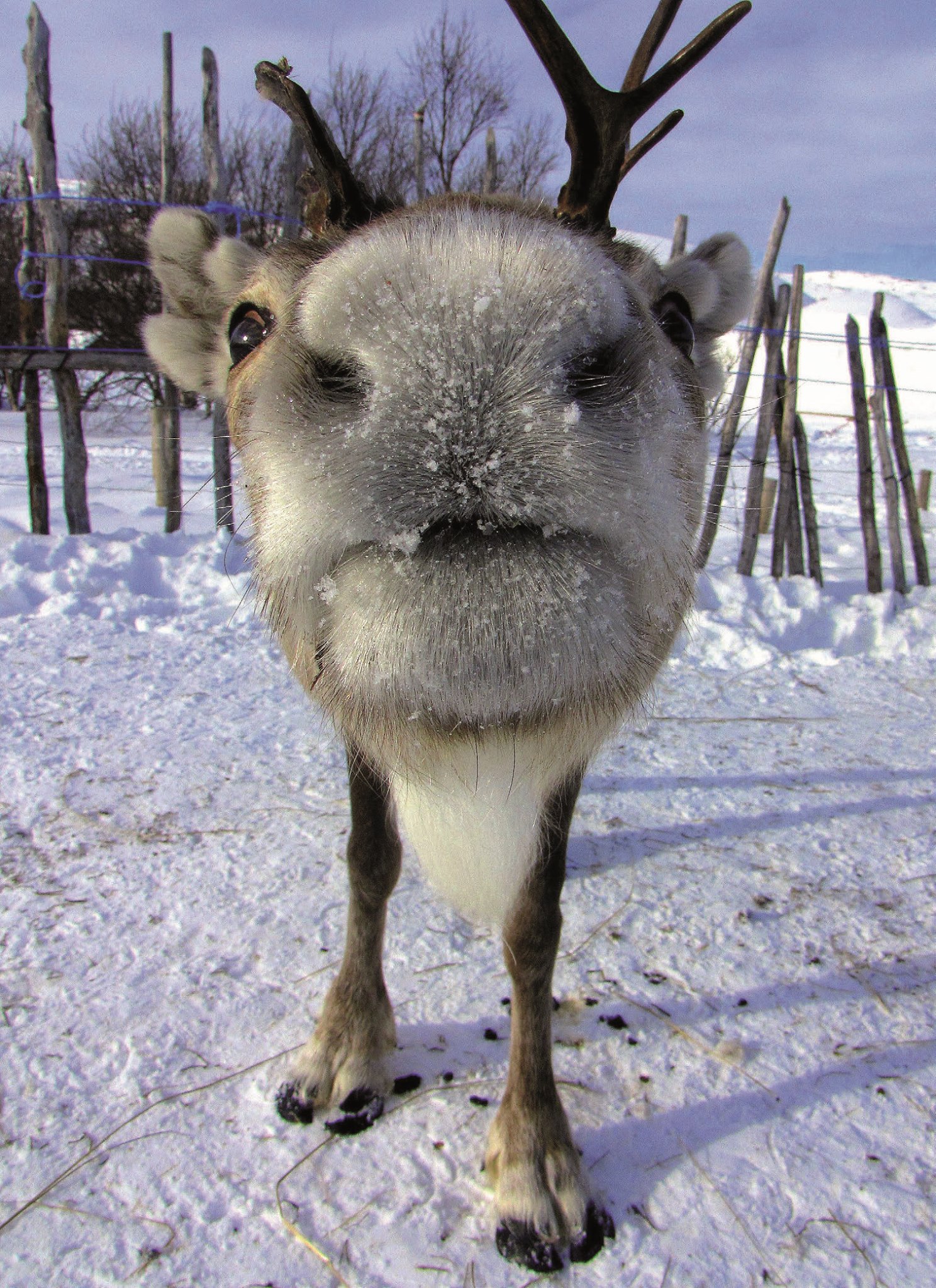 Cool Classical Music for Summer Heat