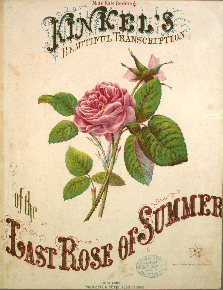 Last Rose of Summer Classical Music