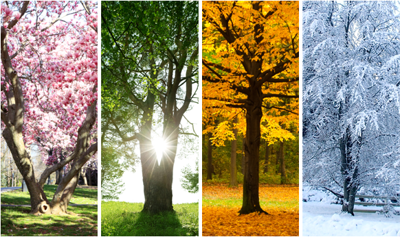 Autumn Arrives (Sort Of) on WPRB