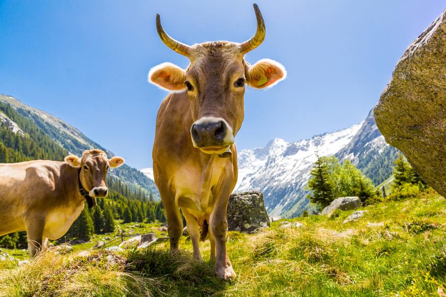 Bavarian Alps with Strauss on WPRB