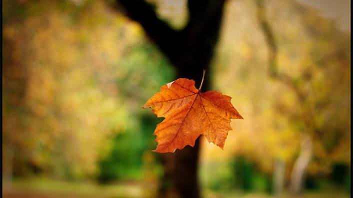 Bass-Baritone Birthday Bash on WWFM