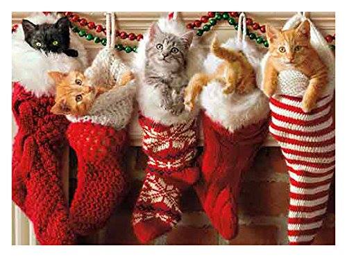 Last-Minute Music Gifts & 2016 Releases on WPRB