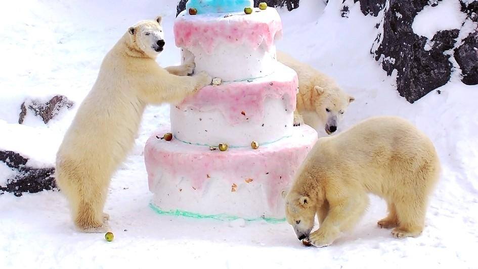 Classical Birthday & Movie Music on WWFM Friday