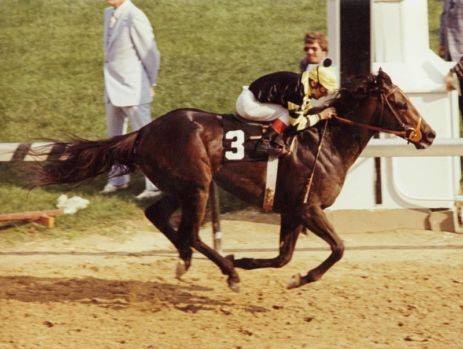 Derby Day Seattle Slew Music and Memories