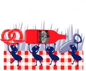 Labor Day Weekend: American Music on WPRB