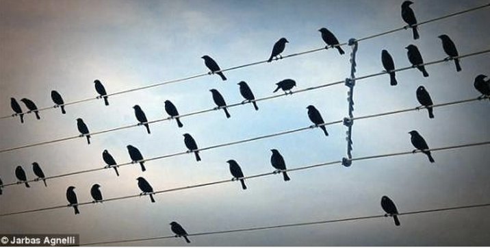 Atlanta Symphony Celebrates Labor Day