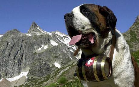 Support Eclectic Radio WPRB 103.3 FM