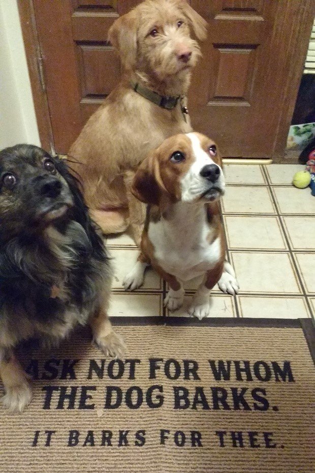 The Bell Tolls Remembering 2017 Losses