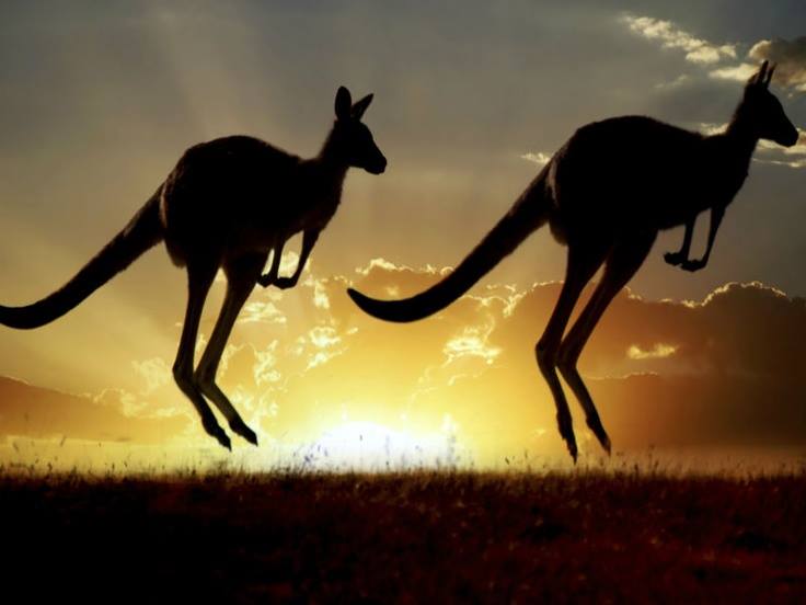 Aussie Composers Brumby Hill & Beyond on WPRB