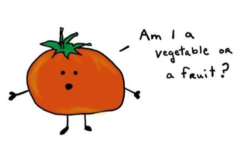 Symphony or Concerto Genre Bending Music