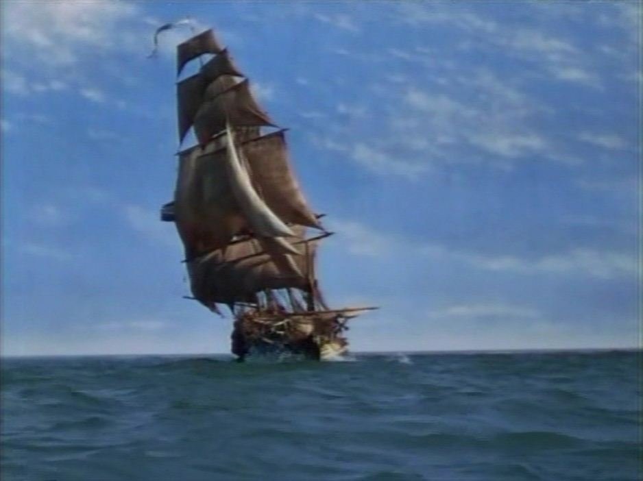 Sea Movies Galore on Picture Perfect