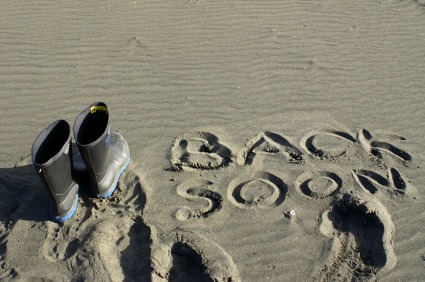 New WPRB Show Sunday Mornings Feedback Wanted